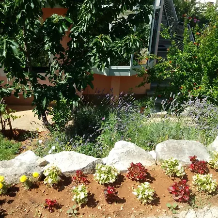 Apartament Vinka *