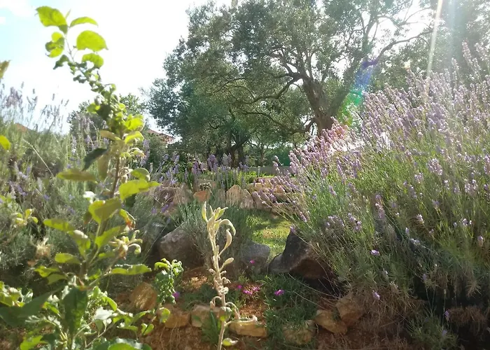 Vinka * Sveti Filip i Jakov