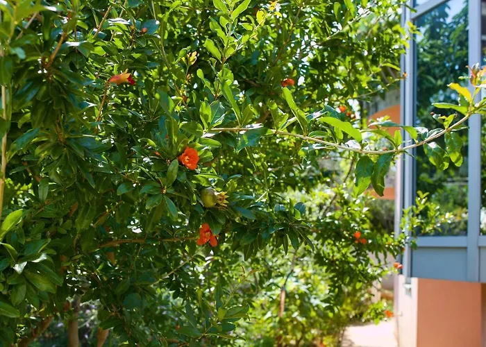Lägenhet Vinka Sveti Filip i Jakov