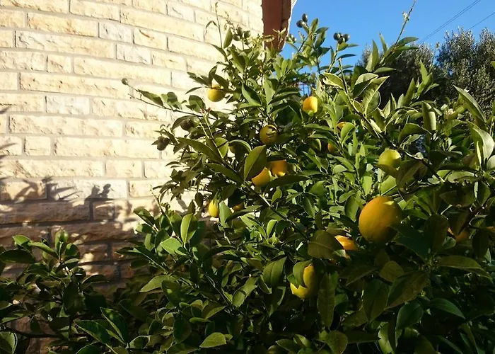 Lägenhet Vinka Sveti Filip i Jakov